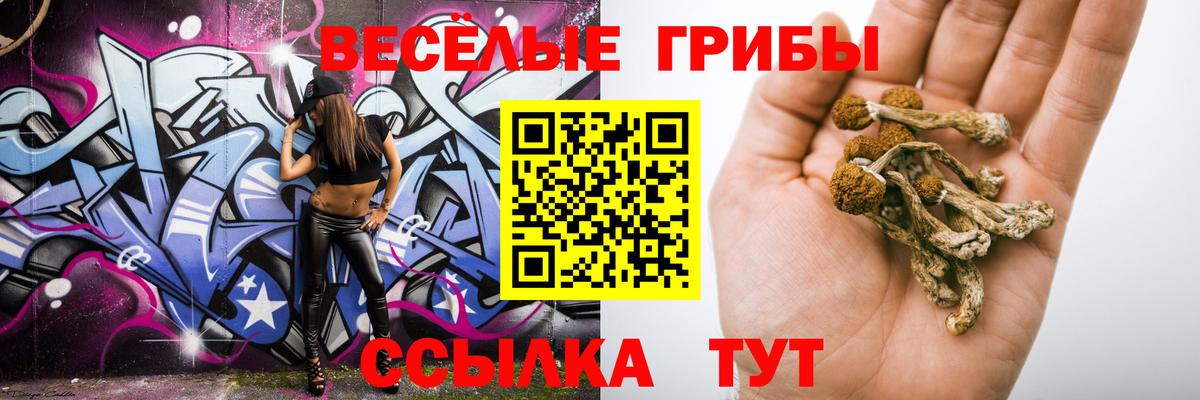 Галлюциногенные грибы ЛСД  Вход с VPN  где купить наркоту  Оренбург 