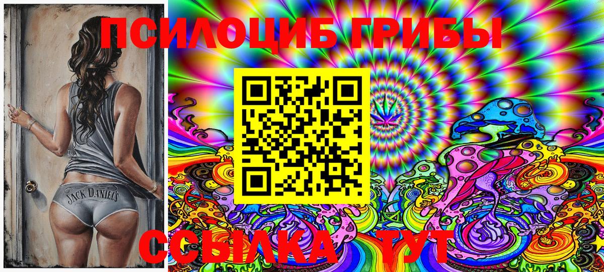 Псилоцибиновые грибы Psilocybine cubensis Оренбург